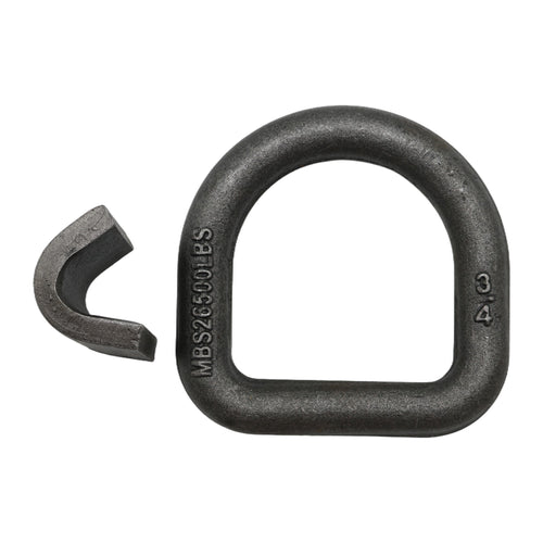 3/4" Forged Weld on D-Ring w/Bracket